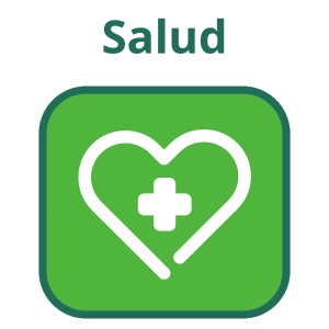 Seguro de Salud